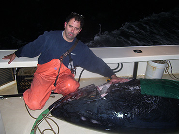 capt Frank dressing a bluefin